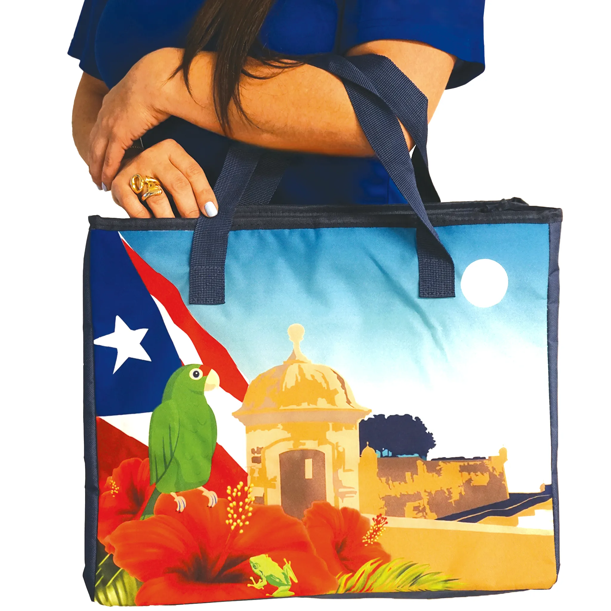 Puerto Rico Insulated Bag